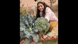 LIVE Q&A Session on Winter Gardening