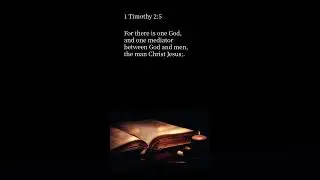 📖 1 Timothy 2:5 | #bibleverse #KJV #audiobible #bible #nomusic  ✝️