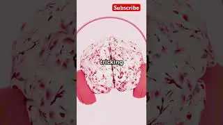 Just 69 Seconds of Pure, Unfiltered Weirdness#fact#knowledge