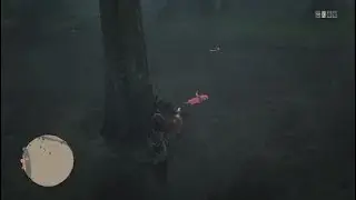 Rdr2 update 1.29 sound on, spoonbills make funny noises