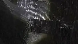 Real Thunderstorm Rain for Sleep, Relax, Study | Heavy Rain on Roof, Intense Thunder & Howling Wind