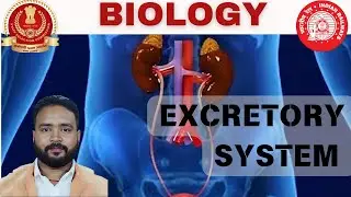 Railway Science | Excretory System | Kidney Structure & Function | Dialysis |  By MCQ Masterclass