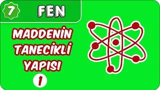 Maddenin Tanecikli Yapısı-1  | 7. Sınıf Fen #evokul Kampı