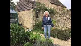 Which herb flowers are edible?