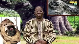 #Toega_tingré SOUS LE BAOBAB Culture et tradition Africaine sur Savane TV  N°102