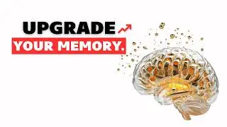 7 Daily Habits to Boost Your Memory Instantly