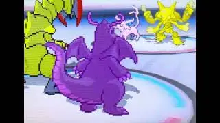 ポケモンBW2PWT色違い軍団VSナツメ