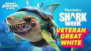 VETERAN GREAT WHITE SHARK EXCLUSIVE SQUADMATES - NEW HUNGRY SHARK WORLD UPDATES SUBSCRIPTION ACCESS