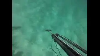 P&ecirc;che sous-marine rouget corse partie 1/2