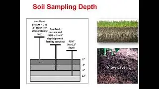 Soil and Manure Sampling-Fundamentals of Nutrient Management 2022
