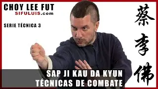 CHOY LEE FUT KUNG FU 👊 SAP JI KAU DA KYUN 👊 Técnicas de Combate nº3