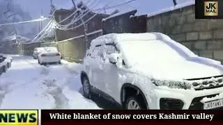 White blanket of snow covers Kashmir valley