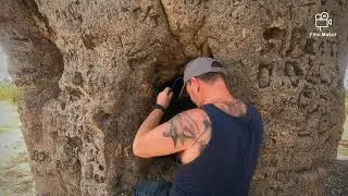 Roos, Eagles, Prison Boab, Cave Paintings and Corrugations