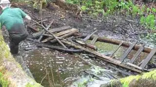 Gettin Messy in Pacific Spirit Park - Part 3