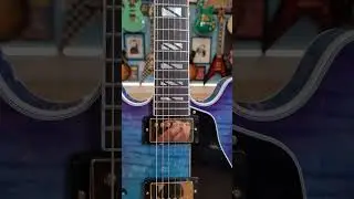 Gibson ES 335 Supreme 2025 года выпуска
