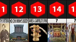 Comparison | Famous Preserved Body Parts