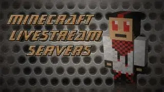 Minecraft: Server White-listed to join check description