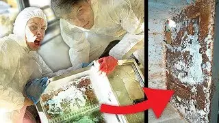 Mega mold is infesting the entire refrigerator! Save Palle & Rewi!