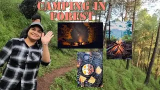 Camping in forest || Cooking Delicious || Scenic Views and Campfire
