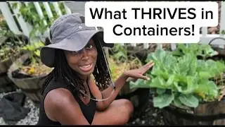 10 Plants That THRIVE in Containers 🌱
