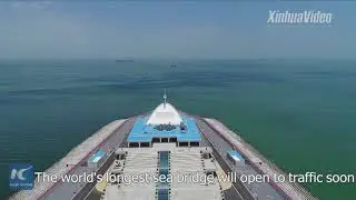New economic and business hub taking shape in South China