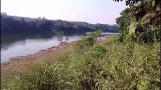 15  ACAR AGRICULTURE PLOT FOR SALE IN MURBAD River touch plot Rate ..30 L per acar