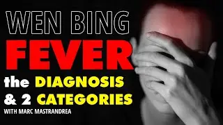 WEN BING THEORY - The Fever Explained by Marc Mastrandrea