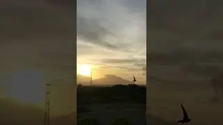 Sunrise on a hilltop (AUP)