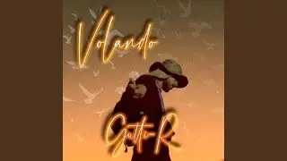 Volando