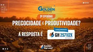 Momento Golden em Campo - 3º episódio: Precocidade e produtividade é com a GH2571I2X