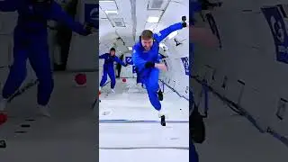 MrBeast zero gravity challenge in plane