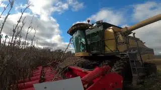 Challenger 670 Combine Corn Harvest 2022 4K