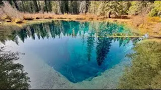 Oregon’s 
