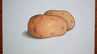 How to draw Potato 🥔 step by step | Potato drawing easy | আলু আঁকব কীভাবে? |