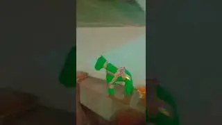 Ghode ki nikali barat