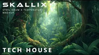 Tony Cortez x Sean Paul - Steel Drum x Temperature (SKALLIX Mashup)