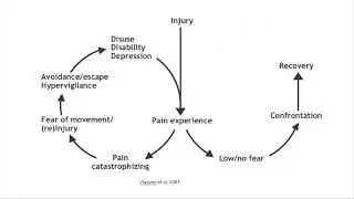 Fear, Kinesiophobia and Pain - A Research Review