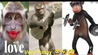 Monkey Funny Comedy Videos 😂😂 || Monkey 🐒 Funny Comedy videos