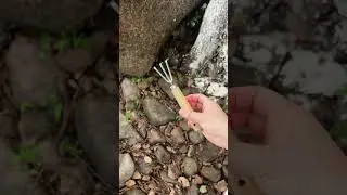 Small Tool, Real Work 🌱#GardenHandTool #WholesaleGarden #MiniTools #one99  #factorydirect #wholesale