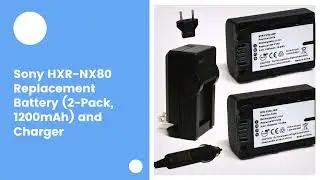 Sony HXR-NX80 Replacement Battery (2-Pack, 1200mAh) and Charger