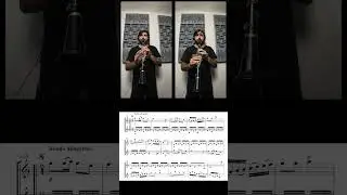 Lefevre - Primer Duo Concertante #clarinete #clarinet #duo