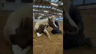 Day1 : progress of getting up on a sitting horse