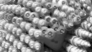 FW freshwata art installation fabrication event studio Video BW 1