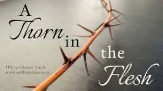 Your Thorn in the Flesh and the Sustaining Grace God Provides. A Devotional II Cor. 12:7-10