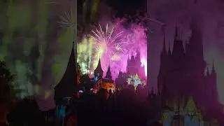 Pirates of the Caribbean Fireworks part 2!!!