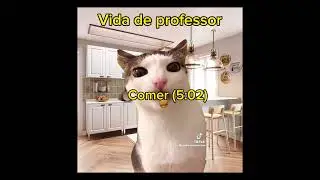 Vida de professor