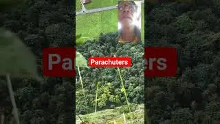 parachuters #music