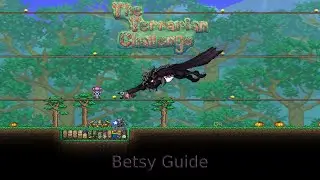 The Terrarian Challenge: Betsy Guide