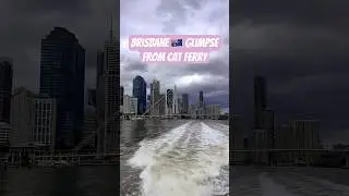 Brisbane cat ferry