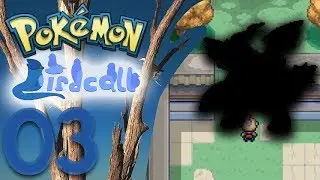 Pok&eacute;mon Birdcall - Episode 3: We're Just Playing this Game in Unova